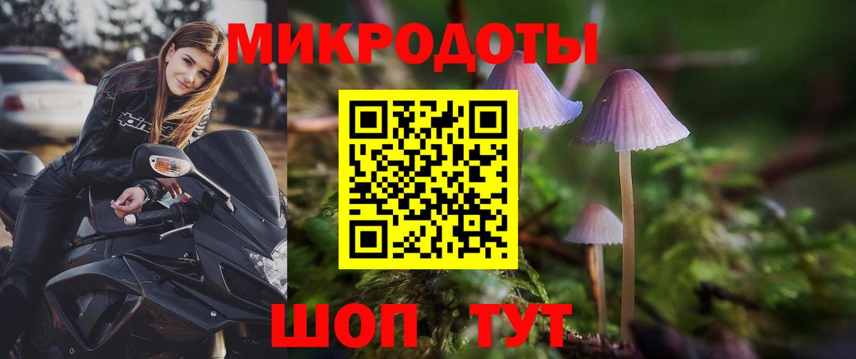 Псилоцибиновые грибы GOLDEN TEACHER Елабуга